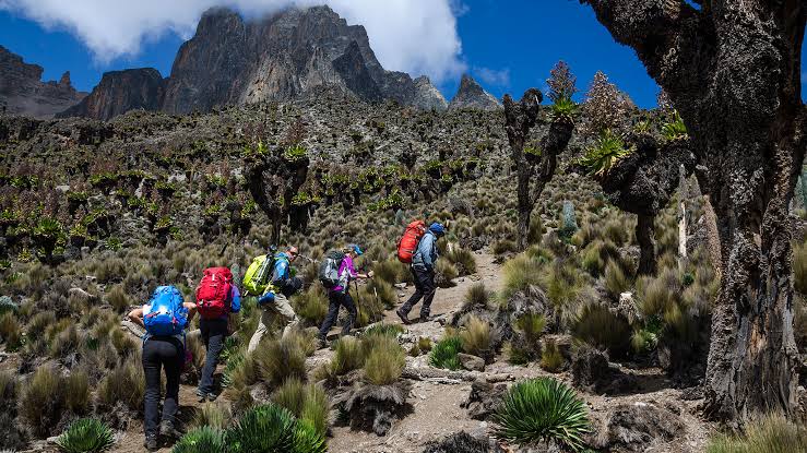 Best Time to Visit for Mount Kenya: What to Know