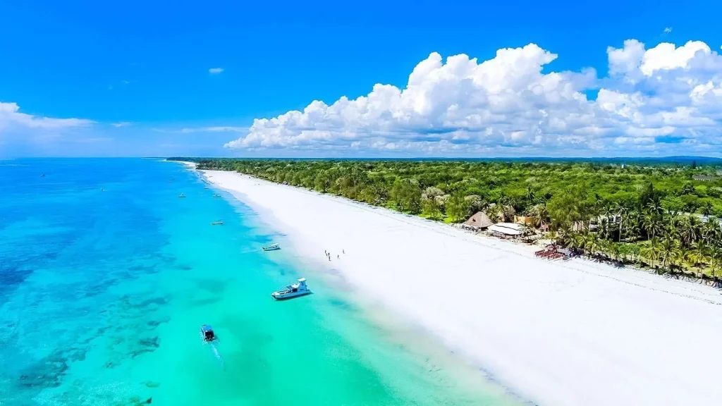 Diani Beach: Budget Safari Planning for a Better Trip