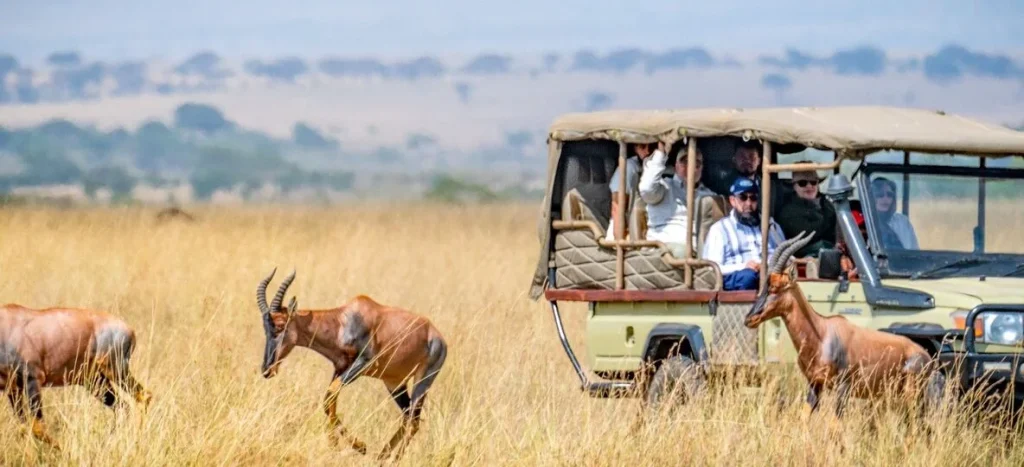 Lake Naivasha First-Time Safari Guide: Practical Safari Guide