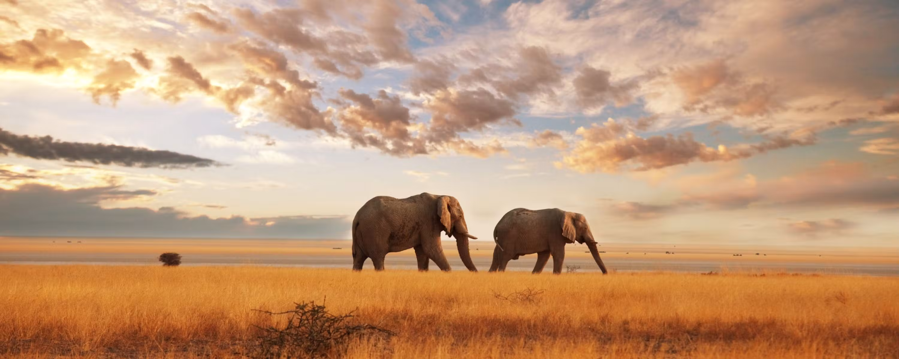 Mount Kenya First-Time Safari Guide: Practical Safari Guide