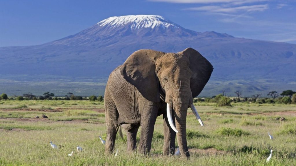Mount Kenya: What to Pack for a Better Trip