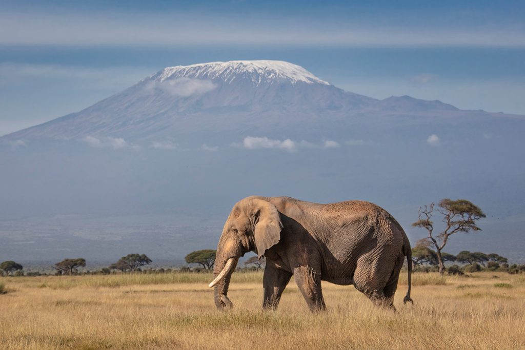 Photography Safari Guide for Mount Kenya: What to Know