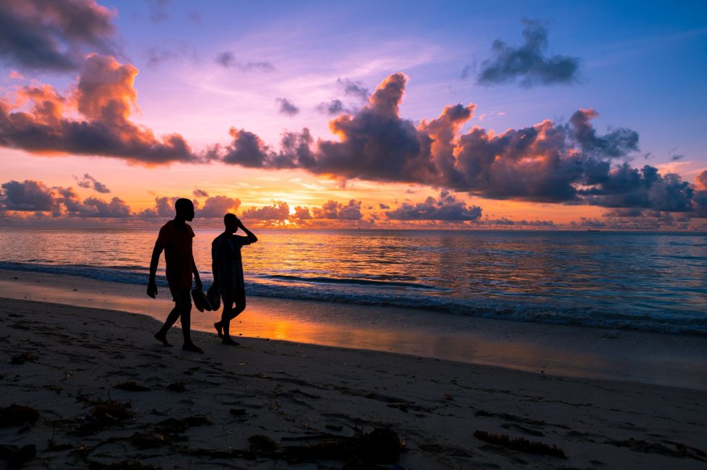 Planning Diani Beach: Luxury Safari Guide