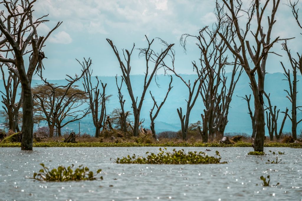 Planning Lake Naivasha: How to Get There