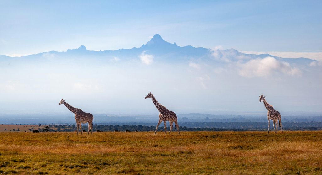 Planning Mount Kenya: Luxury Safari Guide