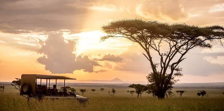 Serengeti National Park Luxury Travel Guide: Practical Safari Guide