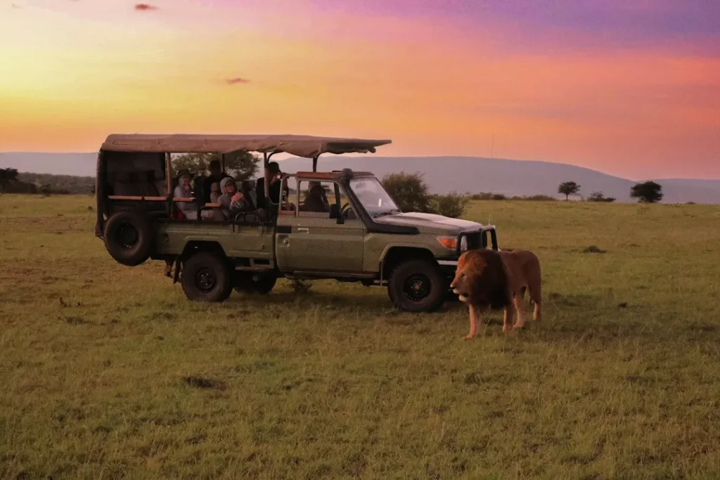 Serengeti and Maasai Mara Combined Safari: Costs and Budget Planning