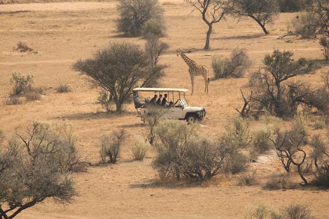 Tanzania and Kenya Luxury Safari: Costs and Budget Planning