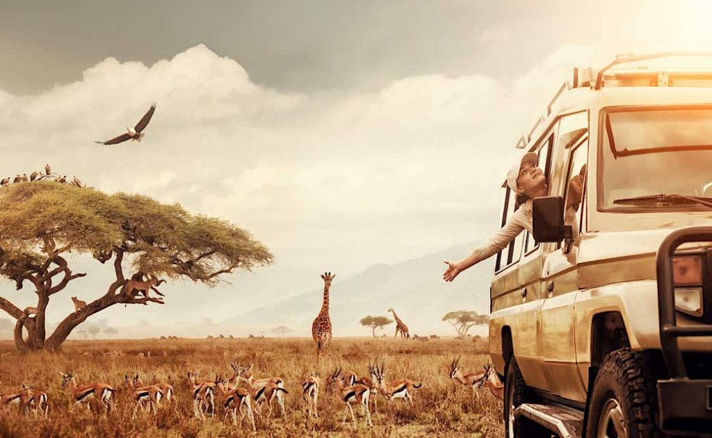 Tanzania and Kenya Luxury Safari: Planning Guide