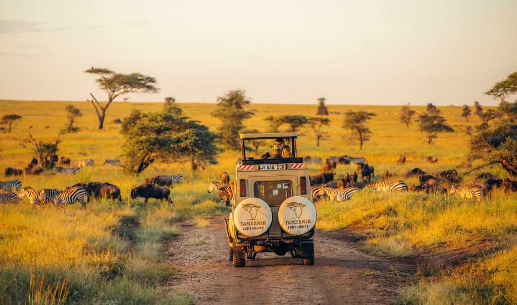 Tanzania vs Kenya Safari: Suggested Itinerary