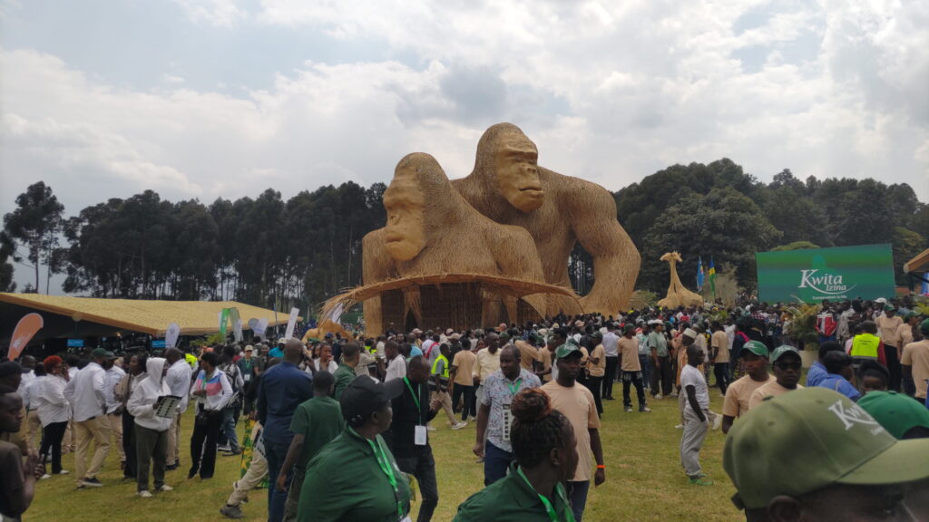 Tourists Attend the Kwita Izina Gorilla Naming Ceremony and Come Home Changed