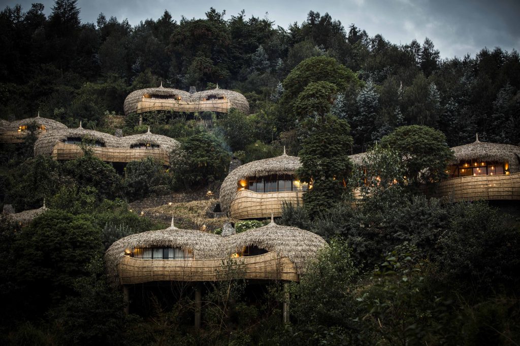 What Makes Bisate Reserve a Luxury Gorilla Lodge in Rwanda?