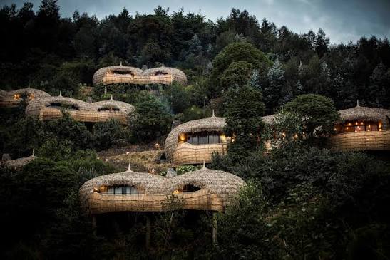 What Is Bisate Lodge and Why Is It Famous in Rwanda?