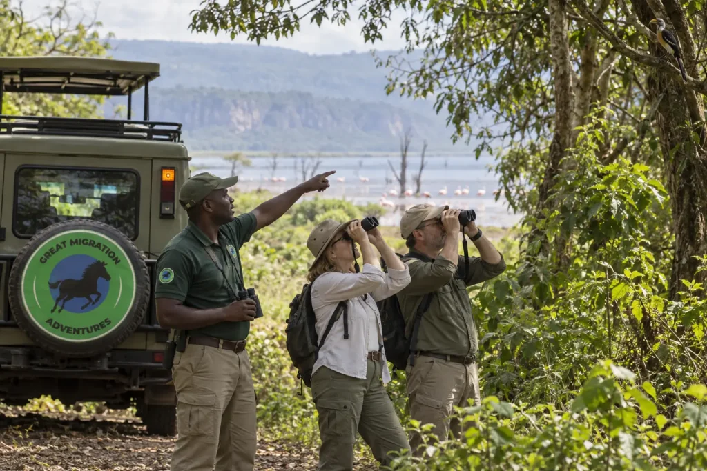 Guide and adult visitors birdwatching near a forest edge with binoculars