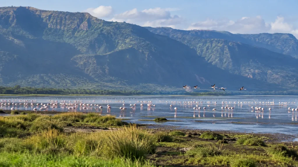 Lake shore panorama with Rift Valley escarpment and waterbirds in distance