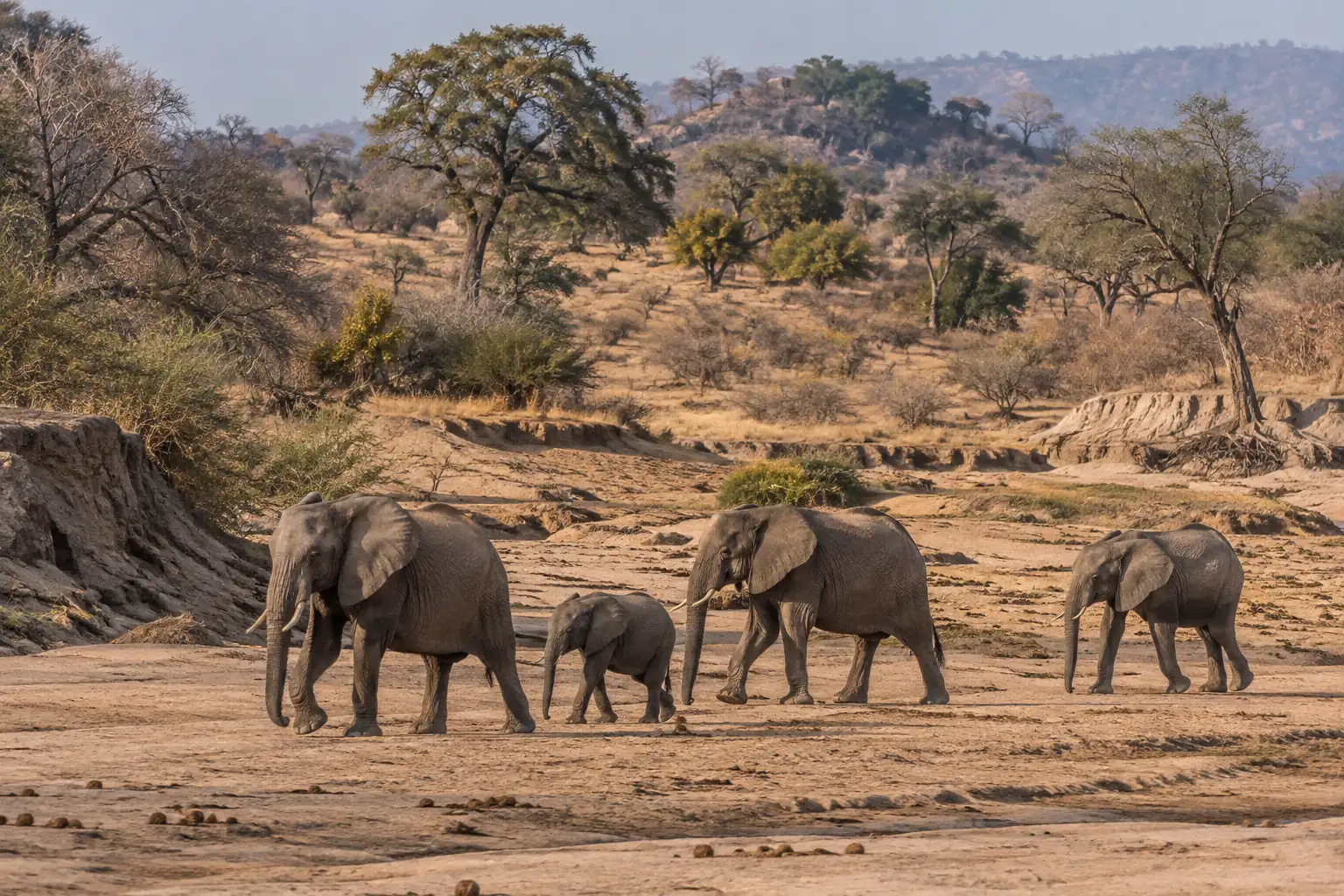 6 Days Ruaha Wilderness Safari